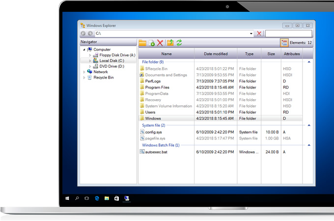 SkayTek Controls WinForms - Windows Explorer