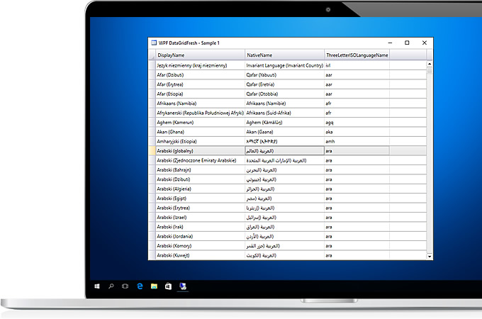 SkayTek Controls WPF - Data Grid Fresh